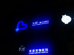 -关爱宠物医院·猫科中心·消化科(滨湖万达分院)
