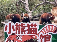 -广州动物园