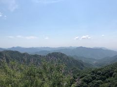 -大岭沟猕猴桃谷风景区