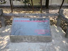 -上海佘山国家森林公园天马山园