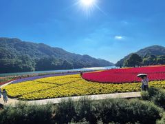 -广州市石门国家森林公园