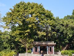 -荔湾湖公园