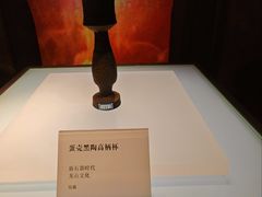 -日照市博物馆