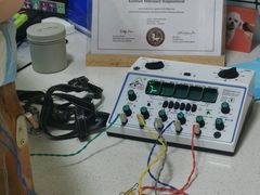 -西安京西宠物医院·瘫痪·疑难杂症