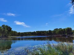 -东郊湿地公园