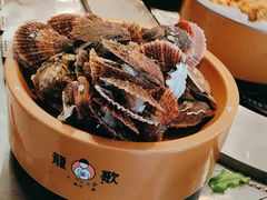 -龍歌自助小火锅(市南金茂湾店)