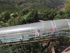 -抱犊崮国家森林公园