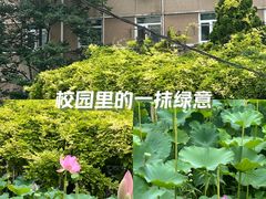 -中国农业大学(西校区)
