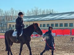 -北京群众马术培训基地