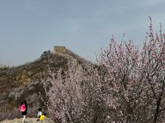 -龙泉峪长城