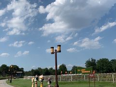 -半天妖烤鱼(丰科万达店)