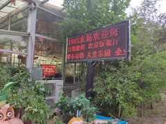 -1982农场