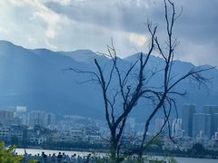 -大理洱海