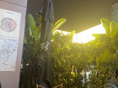 -MEDISN·药厂