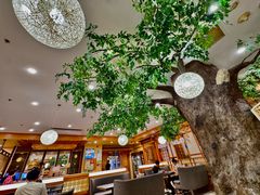 -红叶日本料理(辰熙广场店)