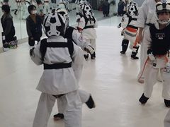 -极真空手道修远道场