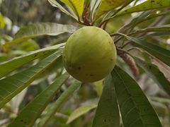 -中国移动南方基地