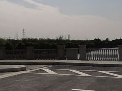 -上海滨江森林公园