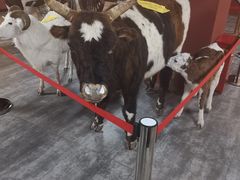 -半天妖烤鱼(丰科万达店)