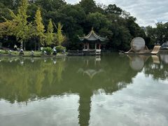 -江心屿景区