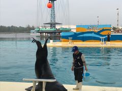 -秦皇岛乐岛海洋王国