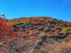 -周口店坡峰岭风景区
