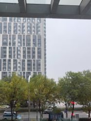 -爱小熊轻医美