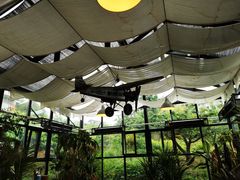 -北马山庄植趣咖啡