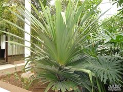 P1000656-绿色时代大酒店