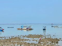 -青澳湾北回归线广场