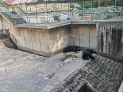 -攀枝花公园