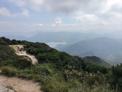 -梧桐山风景名胜区