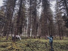 -硗碛藏寨·神木垒景区