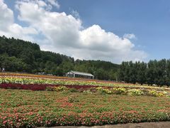 -富田农场