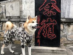 -秦岭风景区
