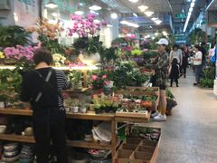-双季花艺园艺市场(浦东店)
