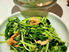 邹山腐皮鸡毛菜-竹外桃花·江南小酒馆(SKP·S店)