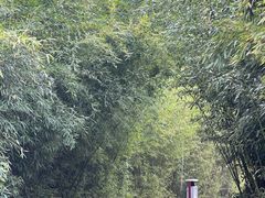 -郑州植物园
