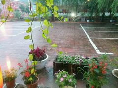 -龙福源密云水库灶台鱼