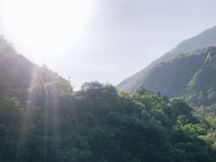 -黑河国家森林公园