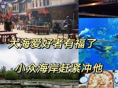 -渡海小渔村.老辈日照菜