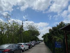 -长洲岛
