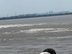 -观潮胜地公园