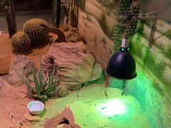 -正佳雨林生态植物园