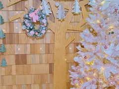 -MOCHA明星猫咖(田子坊店)