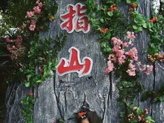 -南湖梦幻岛