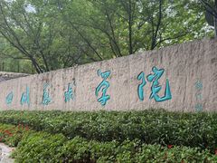 -黄桷坪涂鸦艺术街