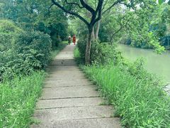 -西溪国家湿地公园