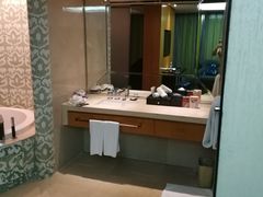 -成都明宇丽雅饭店