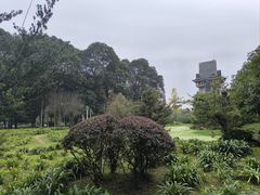-青城山